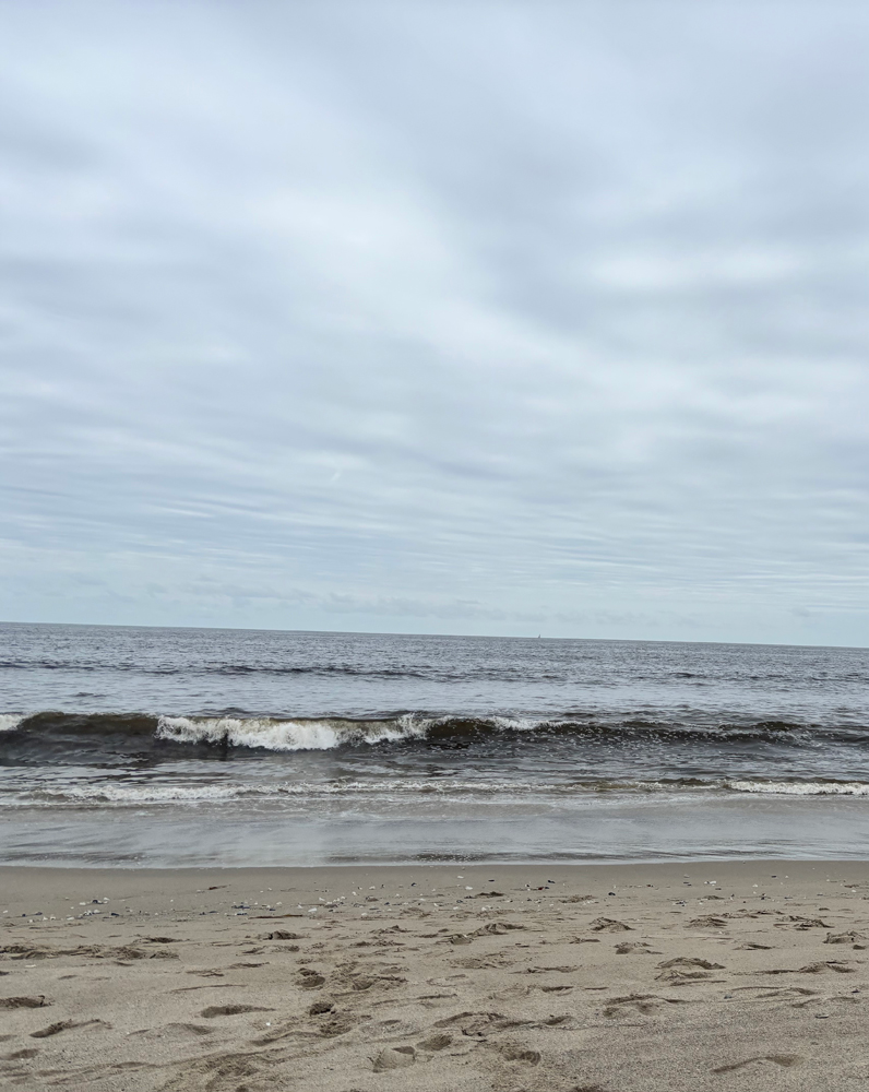 Julia Shammas Holter